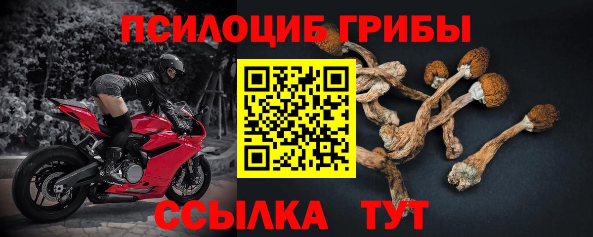 Хасавюрт  Псилоцибиновые грибы GOLDEN TEACHER  Вход с VPN 